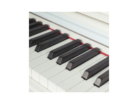 OQAN QP88SW Piano Digital OQAN QP88SW Piano Digital
